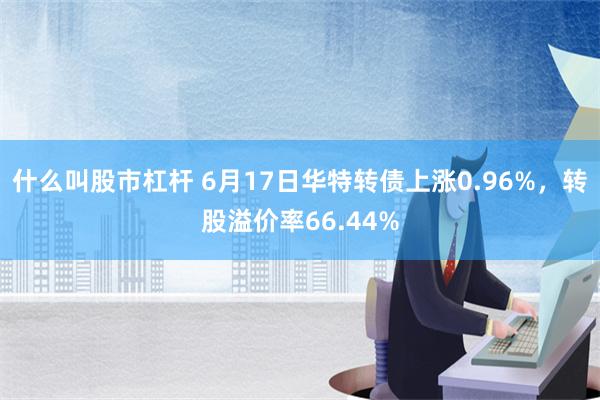 什么叫股市杠杆 6月17日华特转债上涨0.96%，转股溢价率66.44%