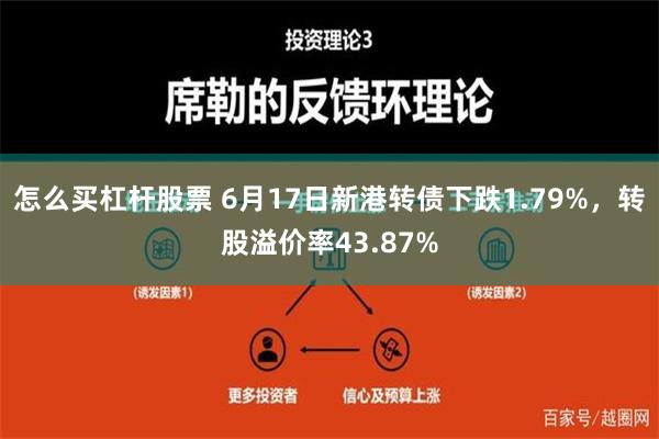 怎么买杠杆股票 6月17日新港转债下跌1.79%，转股溢价率43.87%