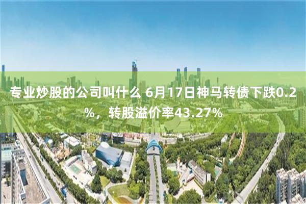 专业炒股的公司叫什么 6月17日神马转债下跌0.2%，转股溢价率43.27%