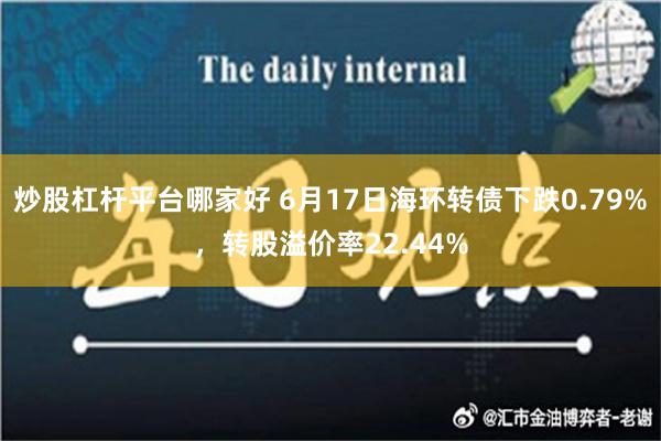 炒股杠杆平台哪家好 6月17日海环转债下跌0.79%，转股溢价率22.44%