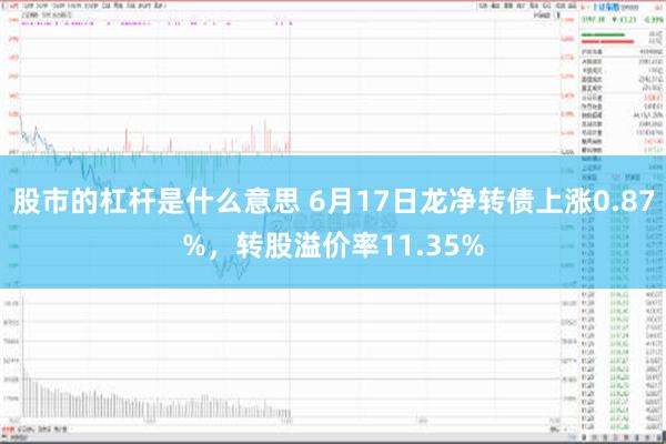 股市的杠杆是什么意思 6月17日龙净转债上涨0.87%，转股溢价率11.35%