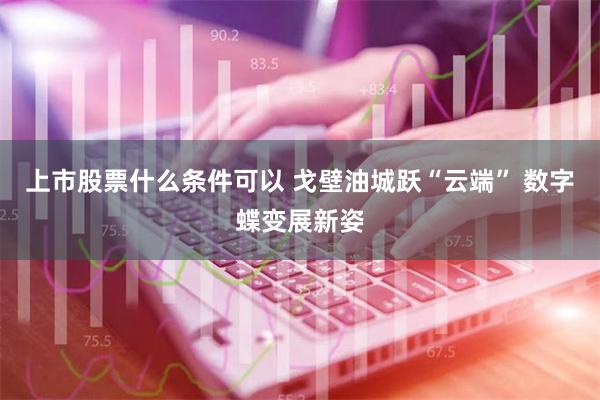 上市股票什么条件可以 戈壁油城跃“云端” 数字蝶变展新姿