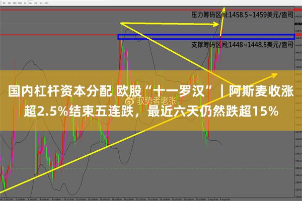 国内杠杆资本分配 欧股“十一罗汉”｜阿斯麦收涨超2.5%结束五连跌，最近六天仍然跌超15%