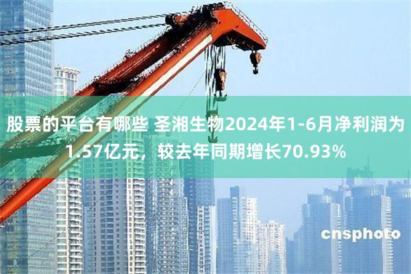 股票的平台有哪些 圣湘生物2024年1-6月净利润为1.57亿元，较去年同期增长70.93%