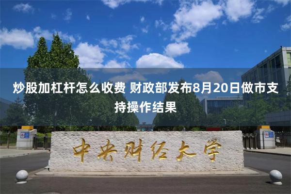 炒股加杠杆怎么收费 财政部发布8月20日做市支持操作结果