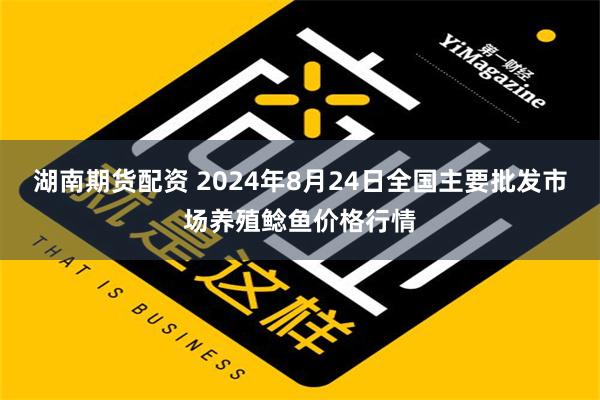 湖南期货配资 2024年8月24日全国主要批发市场养殖鲶鱼价格行情