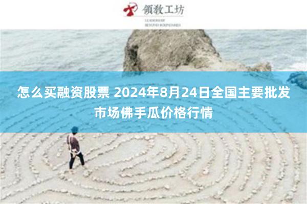 怎么买融资股票 2024年8月24日全国主要批发市场佛手瓜价格行情