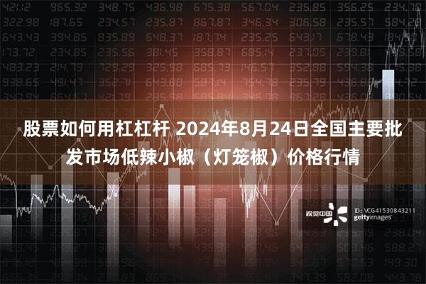 股票如何用杠杠杆 2024年8月24日全国主要批发市场低辣小椒（灯笼椒）价格行情