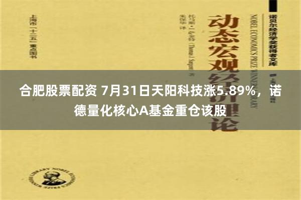 合肥股票配资 7月31日天阳科技涨5.89%，诺德量化核心A基金重仓该股