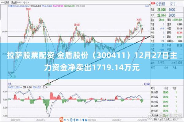 拉萨股票配资 金盾股份（300411）12月27日主力资金净卖出1719.14万元