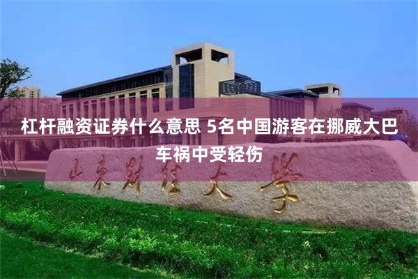 杠杆融资证券什么意思 5名中国游客在挪威大巴车祸中受轻伤