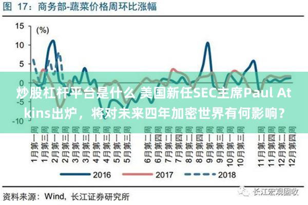 炒股杠杆平台是什么 美国新任SEC主席Paul Atkins出炉，将对未来四年加密世界有何影响？