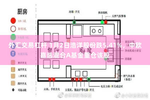 外汇交易杠杆 1月2日浩洋股份跌5.41%，中欧嘉选混合A基金重仓该股