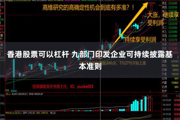 香港股票可以杠杆 九部门印发企业可持续披露基本准则