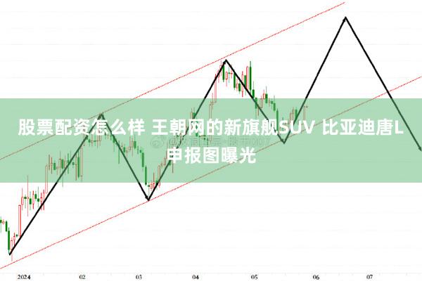 股票配资怎么样 王朝网的新旗舰SUV 比亚迪唐L申报图曝光